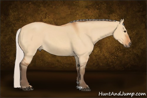 Horse Color:Silver Bay Dun 