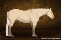 Horse Color:Silver Bay Dun