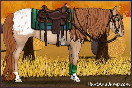 Horse Color:Buckskin Roan Pearl Blanket