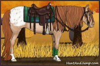 Horse Color:Buckskin Roan Pearl Blanket 