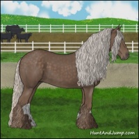 Horse Color:Silver Black 