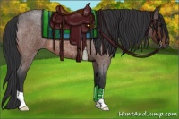 Horse Color:Bay Roan 