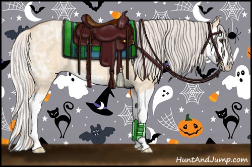 Horse Color:Silver Bay Ice Roan Dun Splash Varnish 