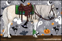 Horse Color:Silver Bay Ice Roan Dun Splash Appaloosa 