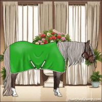 Horse Color:Silver Brown Roan 