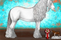 Horse Color:Buckskin Dun Sabino Rabicano