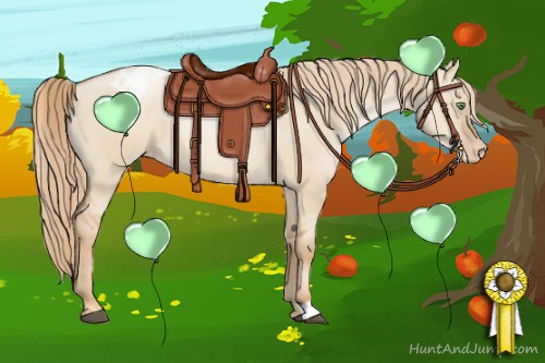 Horse Color:Red Dun Pearl Appaloosa 