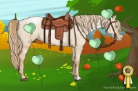 Horse Color:Red Dun Pearl Appaloosa 