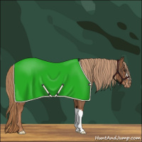 Horse Color:Chestnut Varnish 