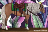 Horse Color:Silver Bay Roan