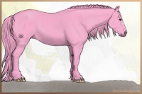 Horse Color:Watercolor Smoky Black 