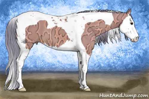Horse Color:Watercolor Buckskin Ice Splash Tobiano 