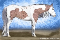 Horse Color:Watercolor Buckskin Ice Splash Tobiano 