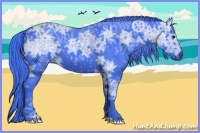 Horse Color:Watercolor Smoky Black Ice 