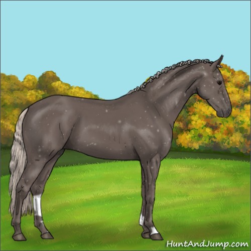Horse Color:Silver Black 