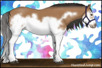 Horse Color:Bay Splash Frame 