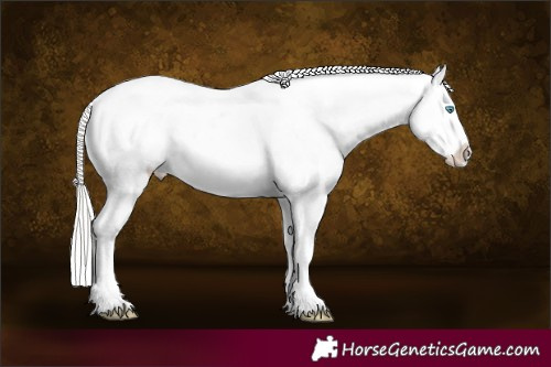 Horse Color:Cremello Blanket 