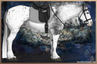 Horse Color:White Spotted Black Splash Appaloosa 