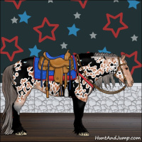 Horse Color:Bay Tobiano Appaloosa 