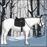 Horse Color:Gray Classic Champagne Dun Splash Tobiano Rabicano 