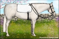 Horse Color:Gold Cream Champagne Roan Pearl 