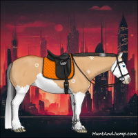 Horse Color:Bay Dun Splash 