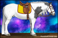 Horse Color:Black Splash Tobiano Frame Appaloosa 