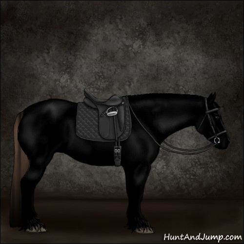 Horse Color:Void White Spotted Grullo Blanket