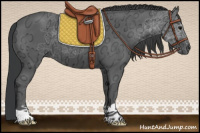 Horse Color:Black Ice 