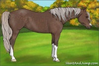 Horse Color:Silver Black 