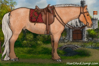 Horse Color:Silver Buckskin Roan 