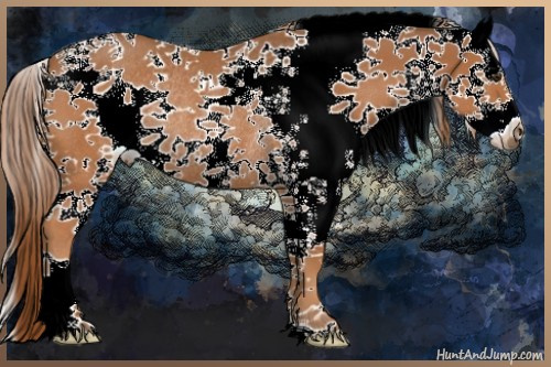 Horse Color:White Spotted Chestnut Rabicano 