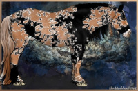 Horse Color:White Spotted Chestnut Rabicano