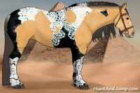 Horse Color:Buckskin Tobiano