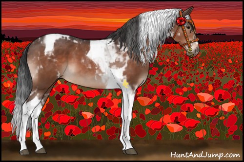 Horse Color:Brown Tobiano 