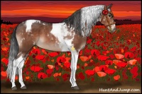 Horse Color:Brown Tobiano