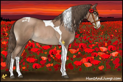 Horse Color:Black Pearl Tobiano