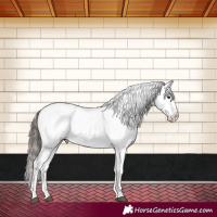 Horse Color:White Spotted Brown Tobiano Appaloosa 