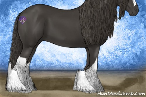Horse Color:Smoky Black 