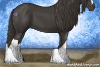 Horse Color:Smoky Black 
