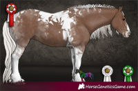 Horse Color:Silver Black Tobiano 
