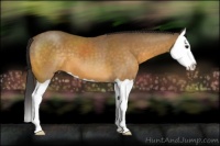 Horse Color:Buckskin Splash