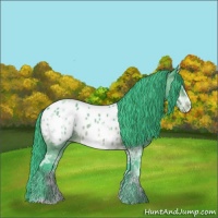 Horse Color:Watercolor Bay Ice Sabino Appaloosa