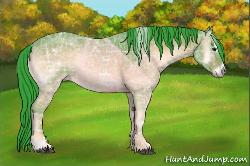 Horse Color:Watercolor Brown Ice Onyx Sabino 