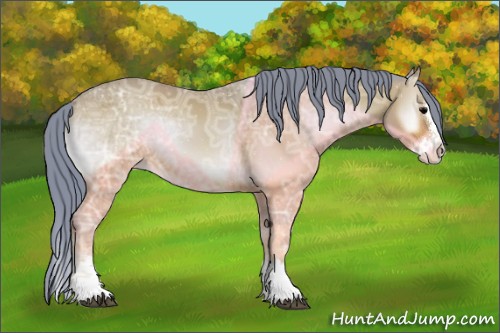 Horse Color:Watercolor Bay Ice Onyx Sabino Splash Appaloosa 