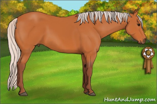 Horse Color:Chocolate Silver Bay 