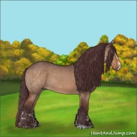 Horse Color:Chocolate Bay Roan Dun Sabino