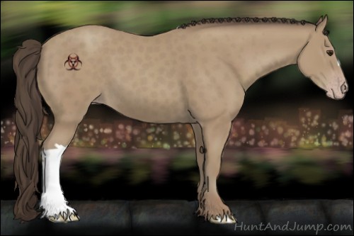 Horse Color:Classic Champagne 