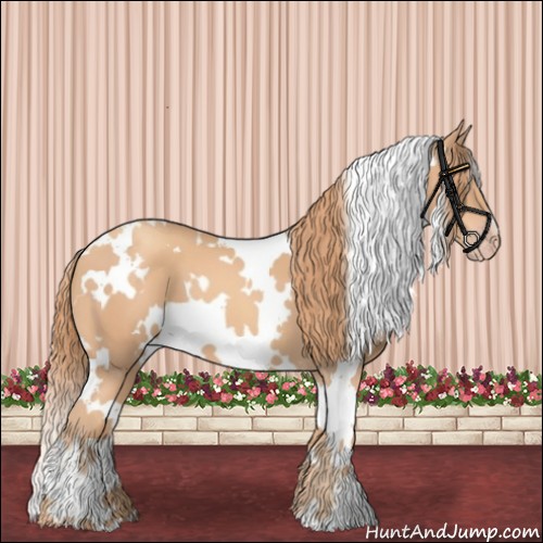 Horse Color:White Spotted Gold Champagne 