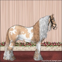 Horse Color:White Spotted Gold Champagne 